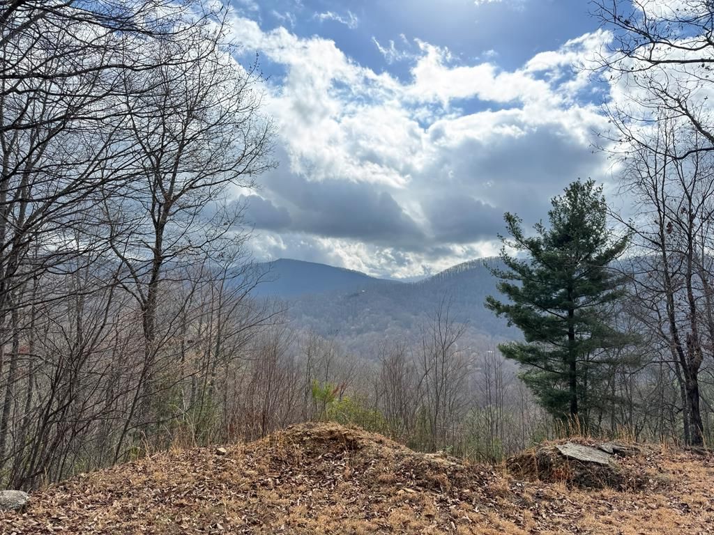 Photo of 468 Hosta Drive, Sylva, NC 28723 (MLS # 26046568)