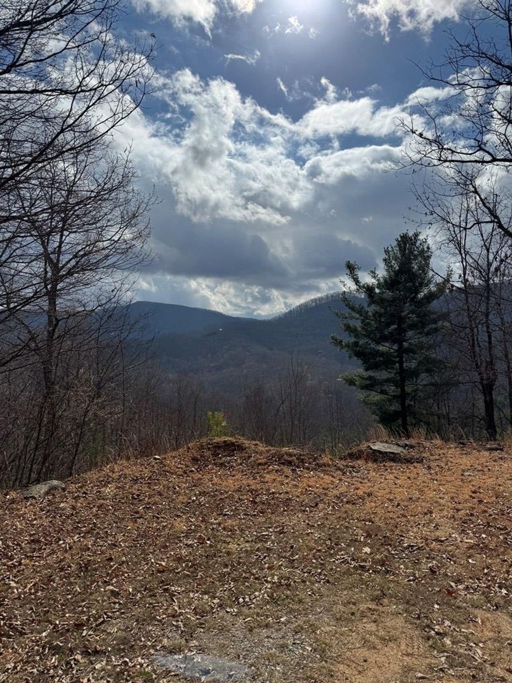 Photo of 468 Hosta Drive, Sylva, NC 28723 (MLS # 26046568)