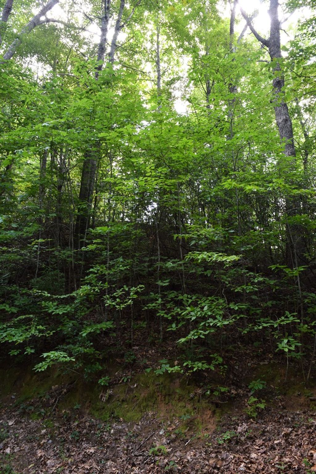 Photo of TBD Hideaway Ridge Trail, Robbinsville (Graham), NC 28771 (MLS # 26041915)