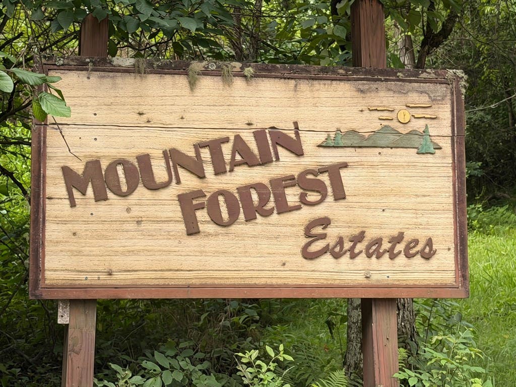 Photo of 475 Mountain Forest Estates, Sylva, NC 28779 (MLS # 26048119)
