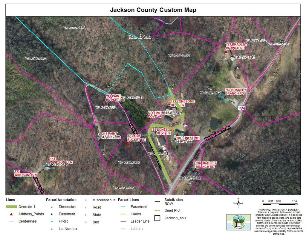 Photo of 98 Lonesome Dove Ln, Whittier, NC 28789 (MLS # 26041775)