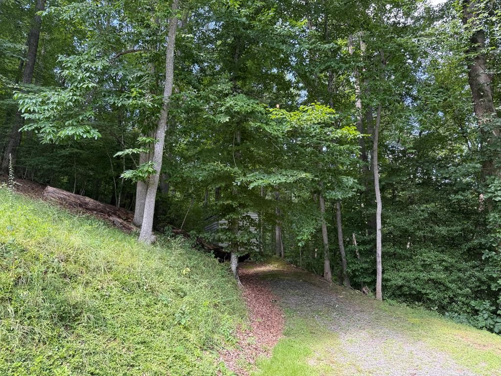 Photo of 98 Lonesome Dove Ln, Whittier, NC 28789 (MLS # 26041775)