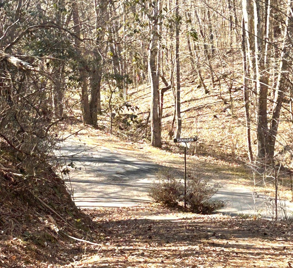 Photo of 1 Tanger Rd, Whittier, NC 28789 (MLS # 26045272)