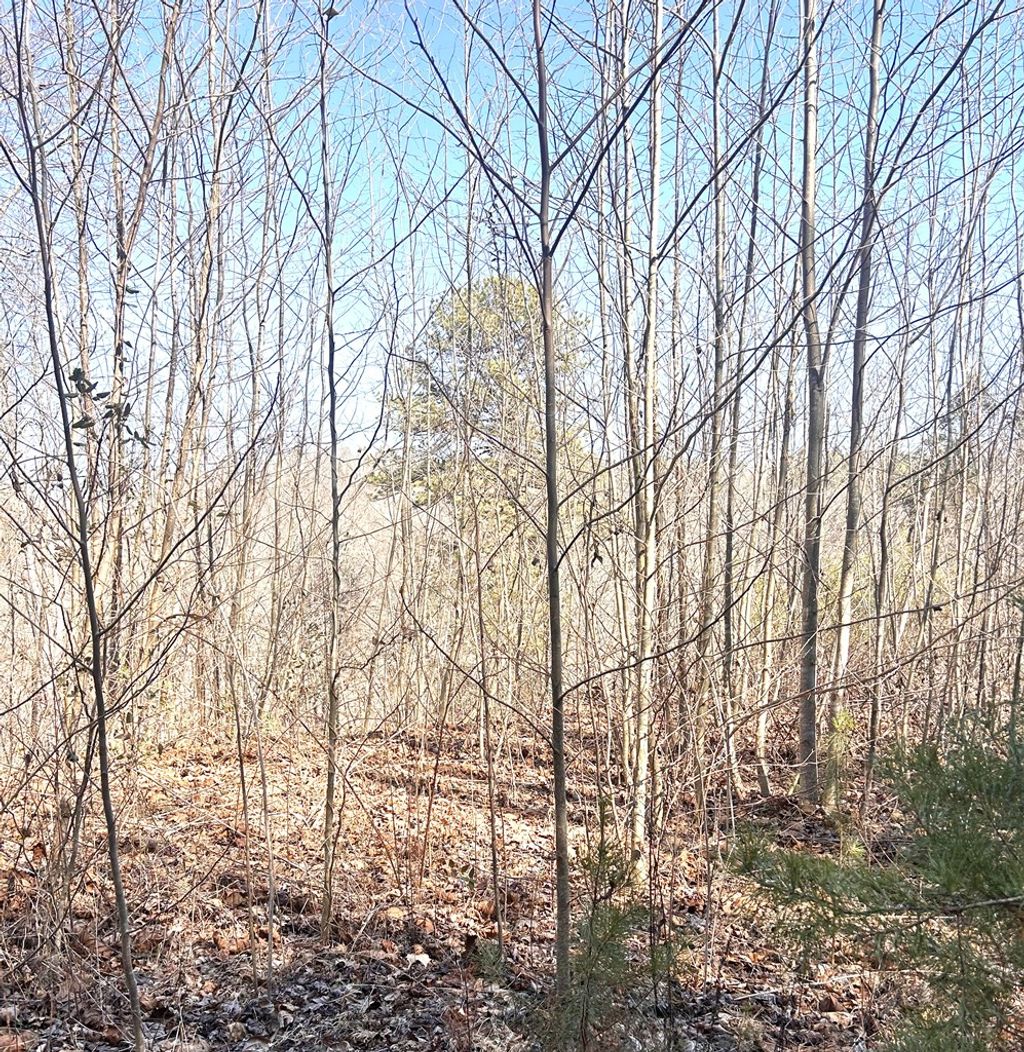 Photo of 1 Tanger Rd, Whittier, NC 28789 (MLS # 26045272)