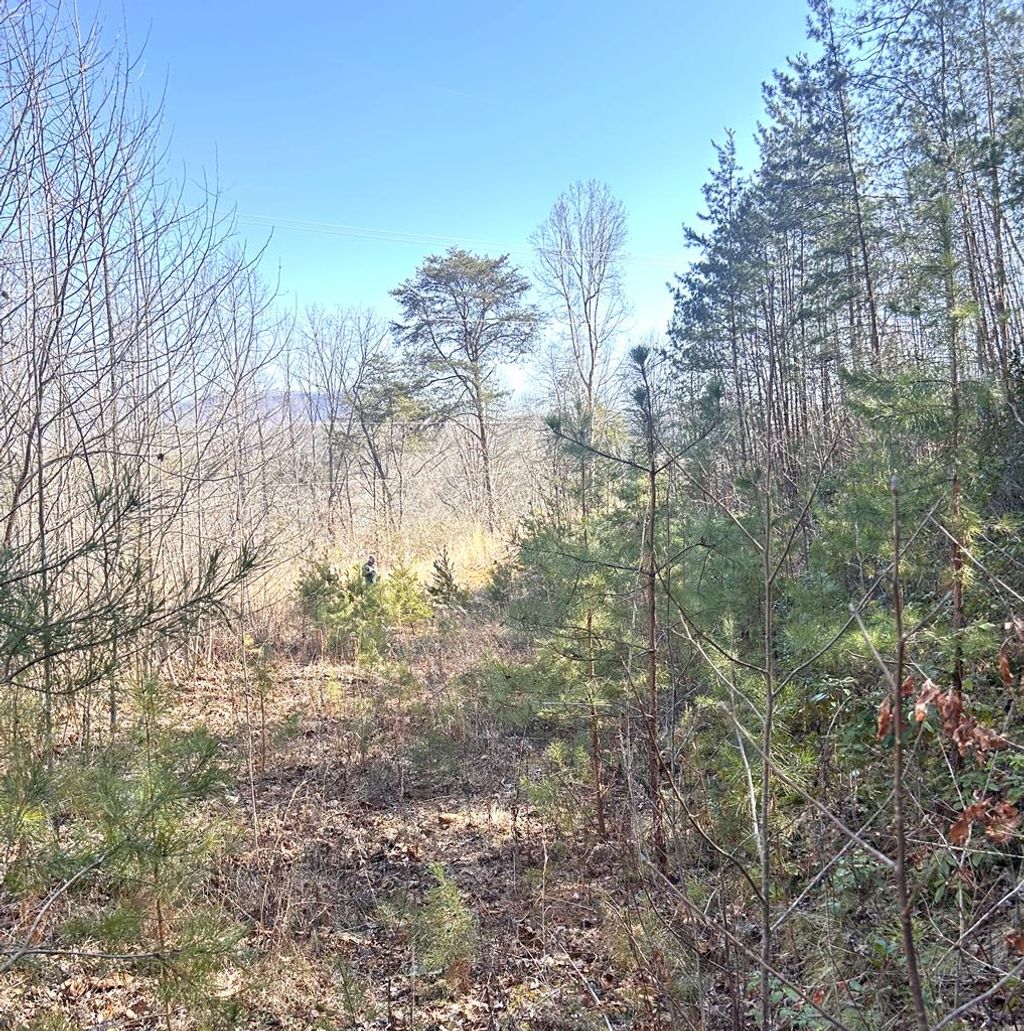 Photo of 1 Tanger Rd, Whittier, NC 28789 (MLS # 26045272)