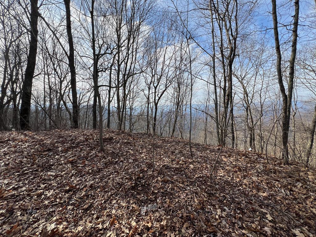 24/26 Butterfly Path