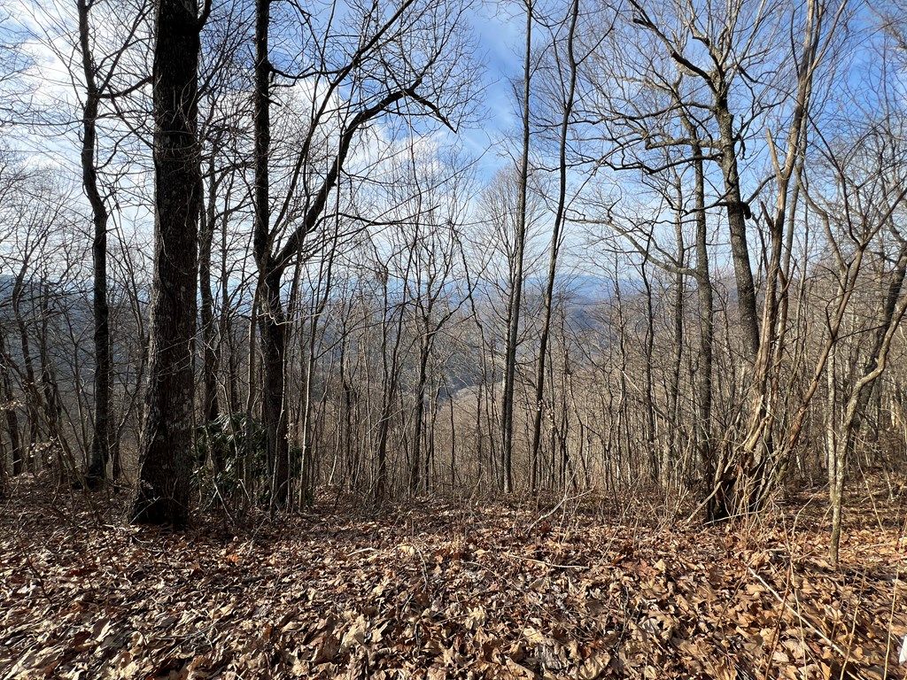 Photo of 688 Butterfly Path Rd, Bryson City, NC 28713 (MLS # 26046727)