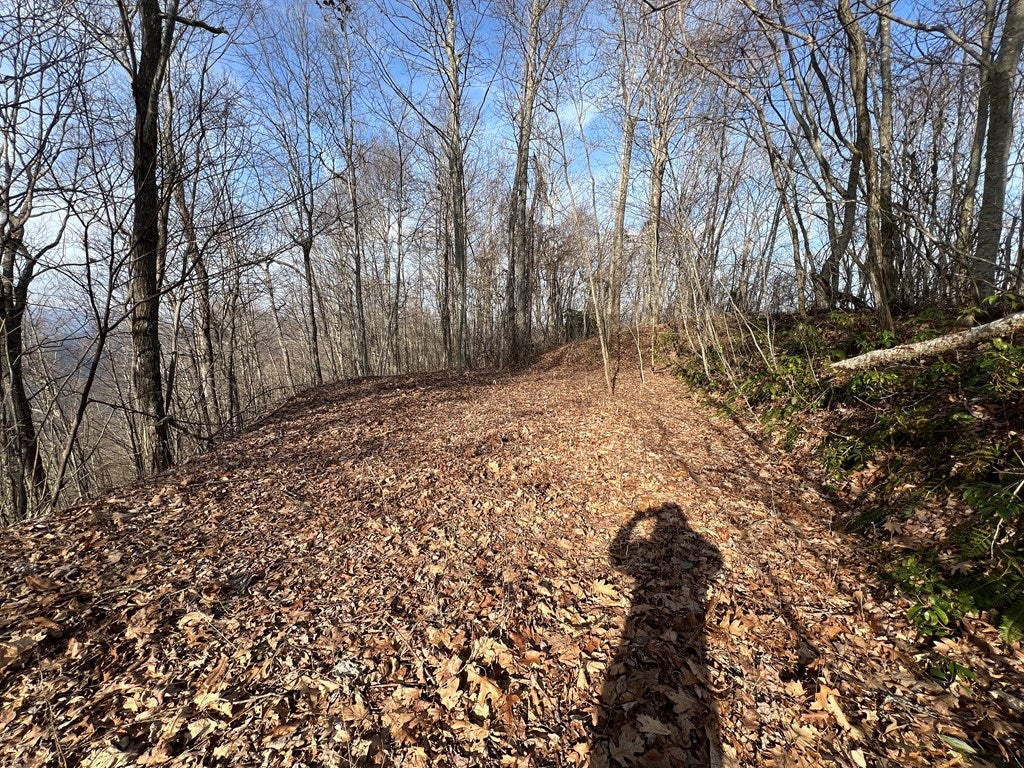 24/26 Butterfly Path