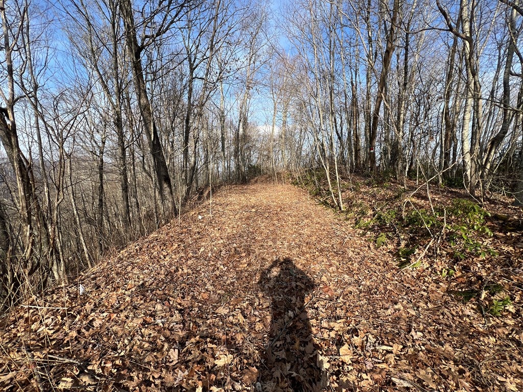 24/26 Butterfly Path