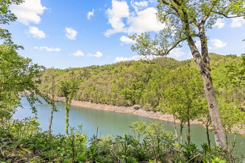 Photo of 101 Waters Edge St, Bryson City, NC 28713 (MLS # 26047051)