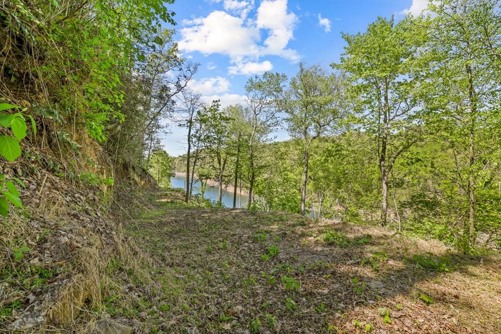 Photo of 101 Waters Edge St, Bryson City, NC 28713 (MLS # 26047051)