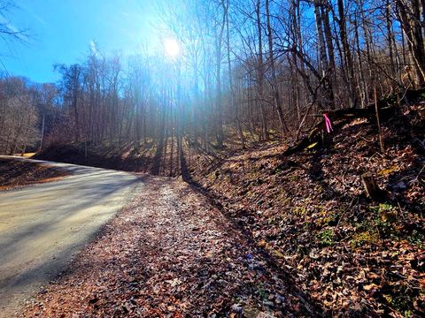 Photo of 160 Slippery Rock Rd, Waynesville, NC 28785 (MLS # 26046535)