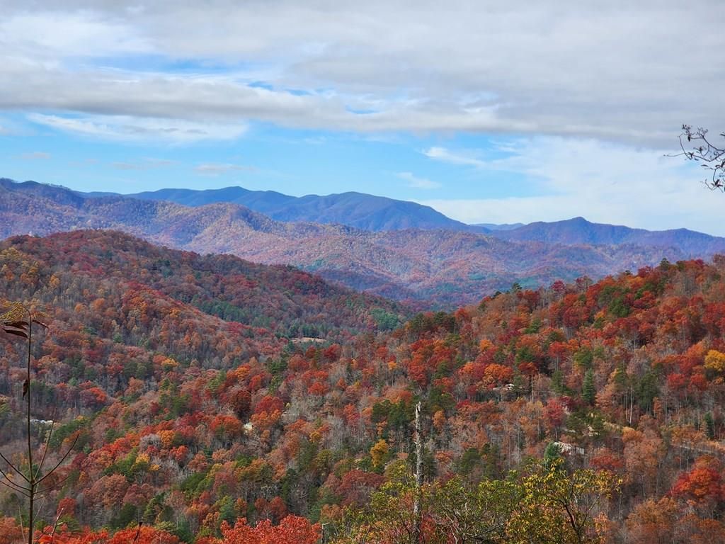 Photo of 833 Fox Run Road, Bryson City, NC 28713 (MLS # 26045307)