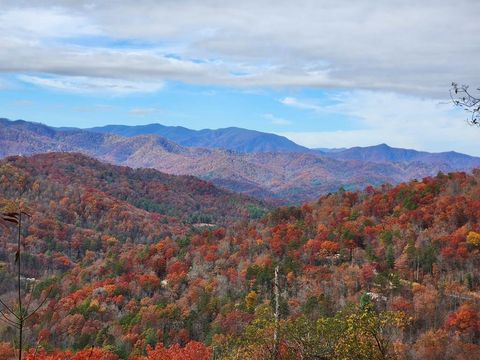 Photo of 833 Fox Run Road, Bryson City, NC 28713 (MLS # 26045307)
