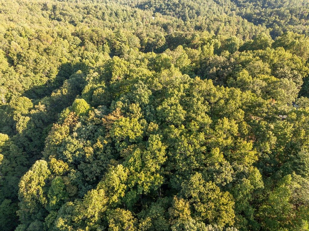 Photo of Lot 8 Madison Lane, Robbinsville (Graham), NC 28771 (MLS # 26042174)