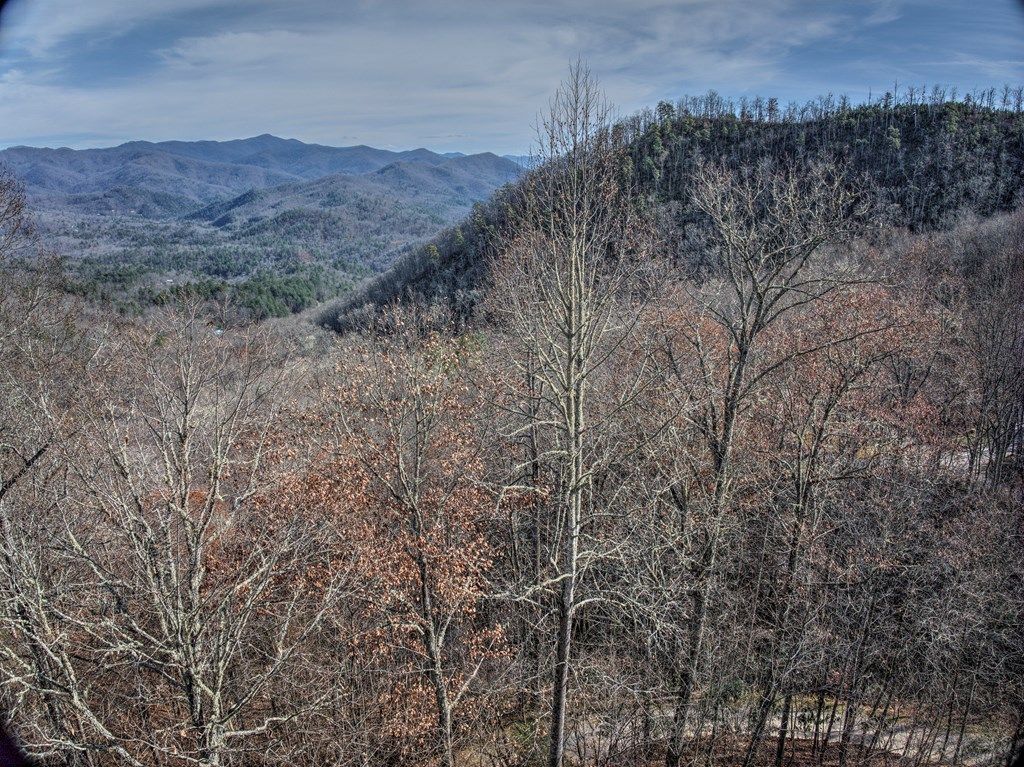 Photo of 0 Long Branch Rd, Bryson City, NC 28713 (MLS # 26042864)