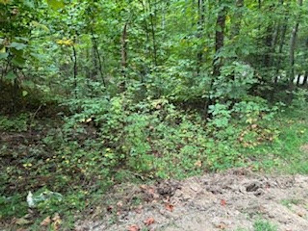 Photo of 0 Laurel Spring Dr, Bryson City, NC 28713 (MLS # 26045252)