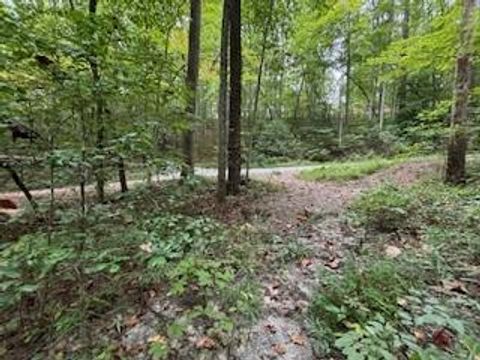 Photo of 0 Laurel Spring Dr, Bryson City, NC 28713 (MLS # 26045252)