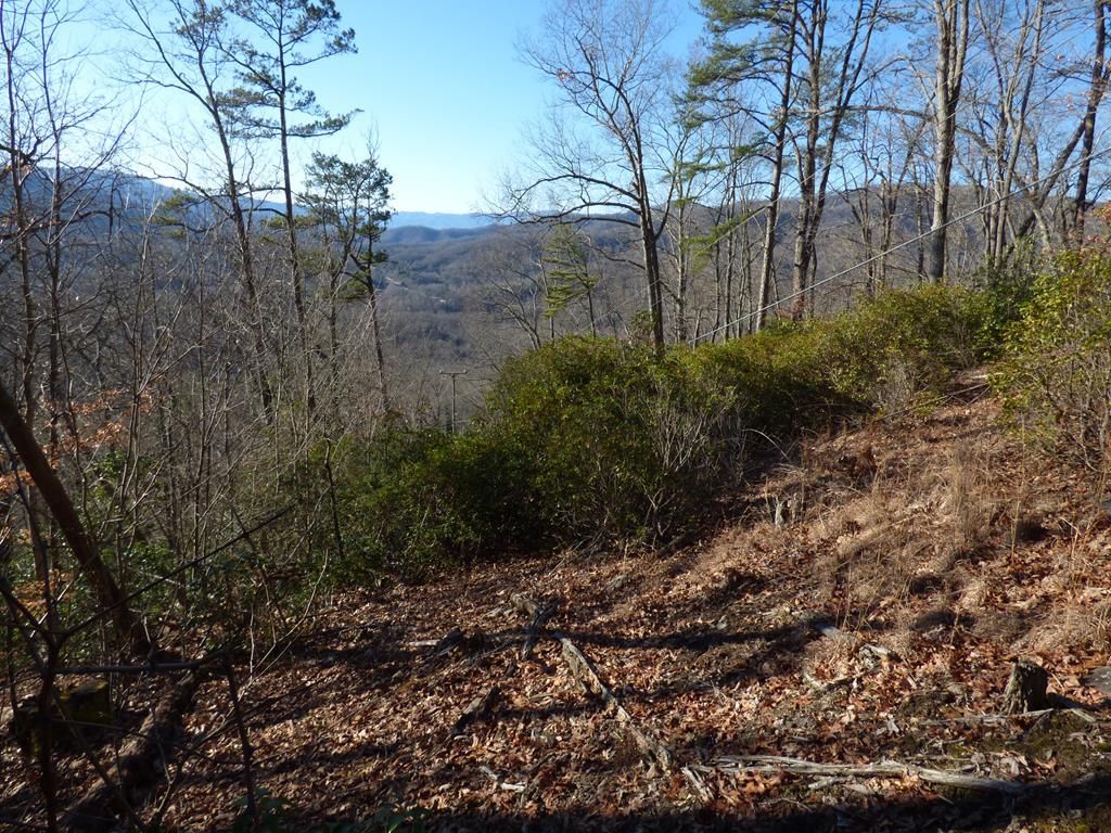 Photo of 000 Ridgeway Street, Sylva, NC 28779 (MLS # 26041764)