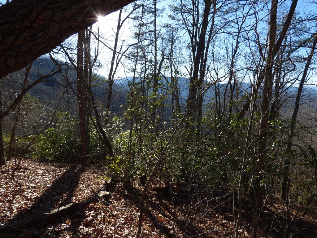 Photo of 000 Ridgeway Street, Sylva, NC 28779 (MLS # 26041764)
