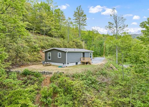 Photo of 328 Mountain Lion Trail, Maggie Valley, NC 28751 (MLS # 26046553)