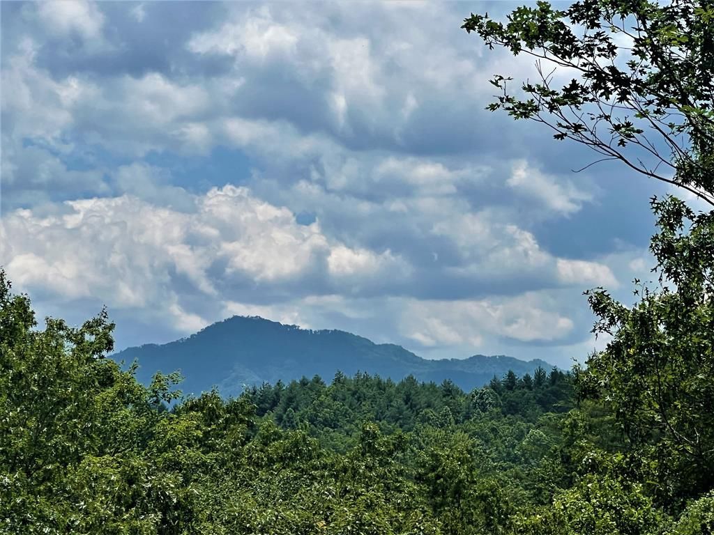 Photo of Lot 59 Musket Rd, Almond, NC 28702 (MLS # 26042173)
