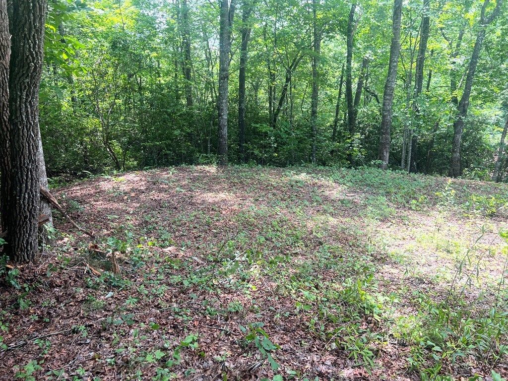 Photo of Lot 59 Musket Rd, Almond, NC 28702 (MLS # 26042173)