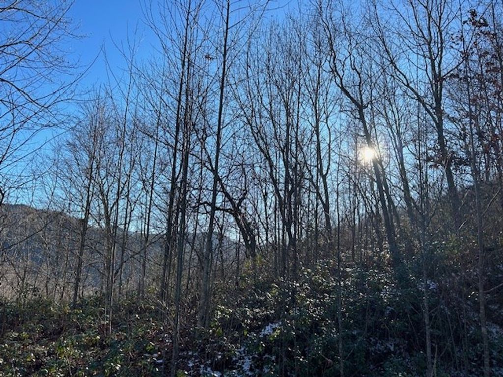 Photo of Lot 27 Long Creek Preserve, Bryson City, NC 28713 (MLS # 26039683)
