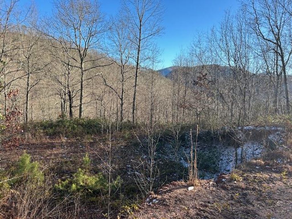 Photo of Lot 27 Long Creek Preserve, Bryson City, NC 28713 (MLS # 26039683)