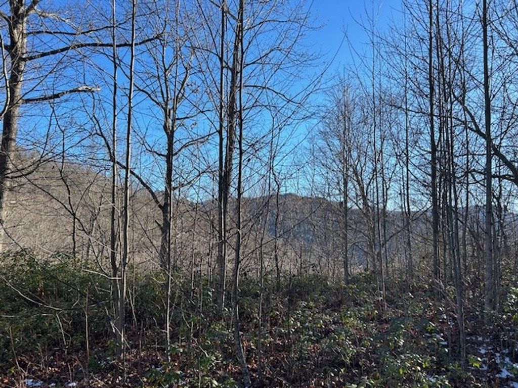 Photo of Lot 27 Long Creek Preserve, Bryson City, NC 28713 (MLS # 26039683)