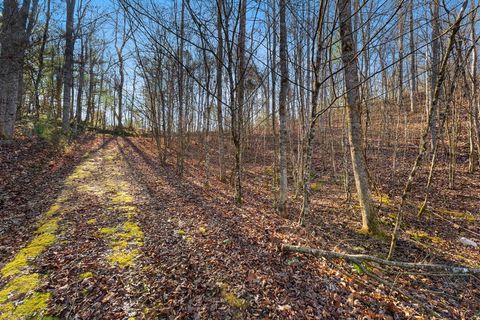 Photo of 00 Fox Layre Road, Franklin, NC 28734 (MLS # 26045503)
