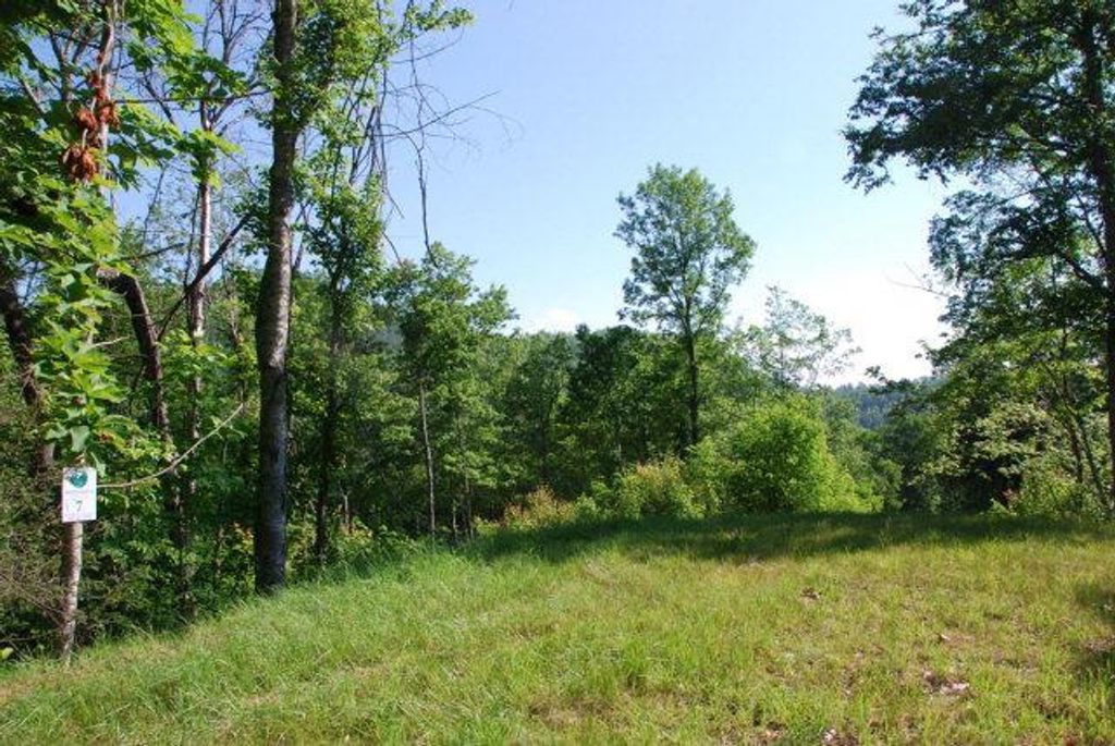 Photo of Lot 7 Flint Ridge Rd, Bryson City, NC 28713 (MLS # 26040102)