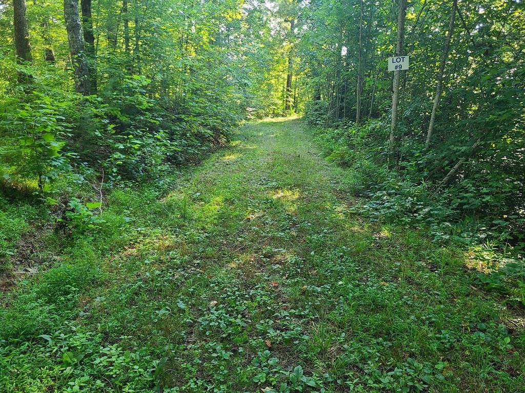 Photo of Lot 9B Varners Ridge Rd, Whittier, NC 28789 (MLS # 26042272)