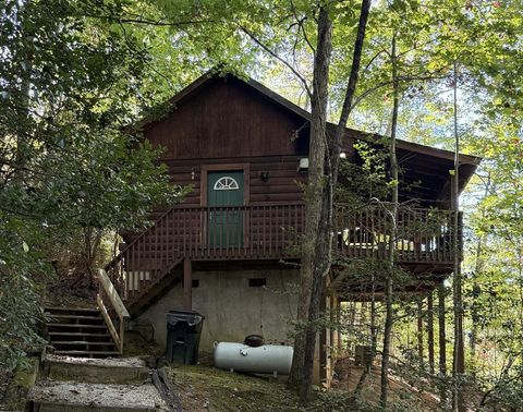 Photo of 377 Fernwood Dr, Bryson City, NC 28713 (MLS # 26042407)