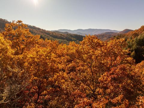 Photo of 4444 Conley Ridge Trail, Franklin, NC 28734 (MLS # 26042628)