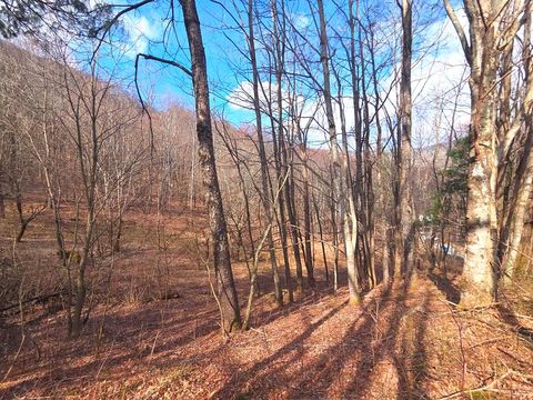 Photo of 250 Rome Beauty Rd Tr5, Waynesville, NC 28785 (MLS # 26046623)