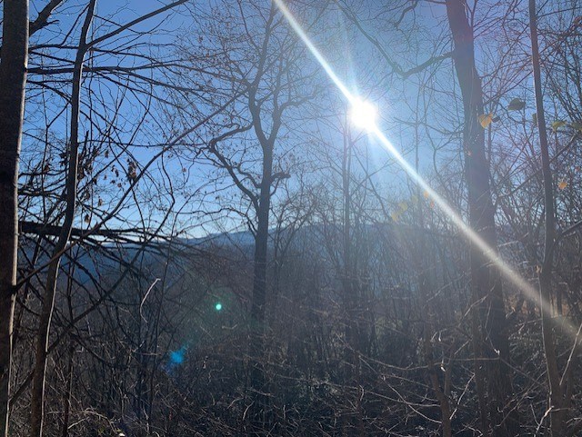 Bryson City, North Carolina 28713, United States, ,Land,Active,80627