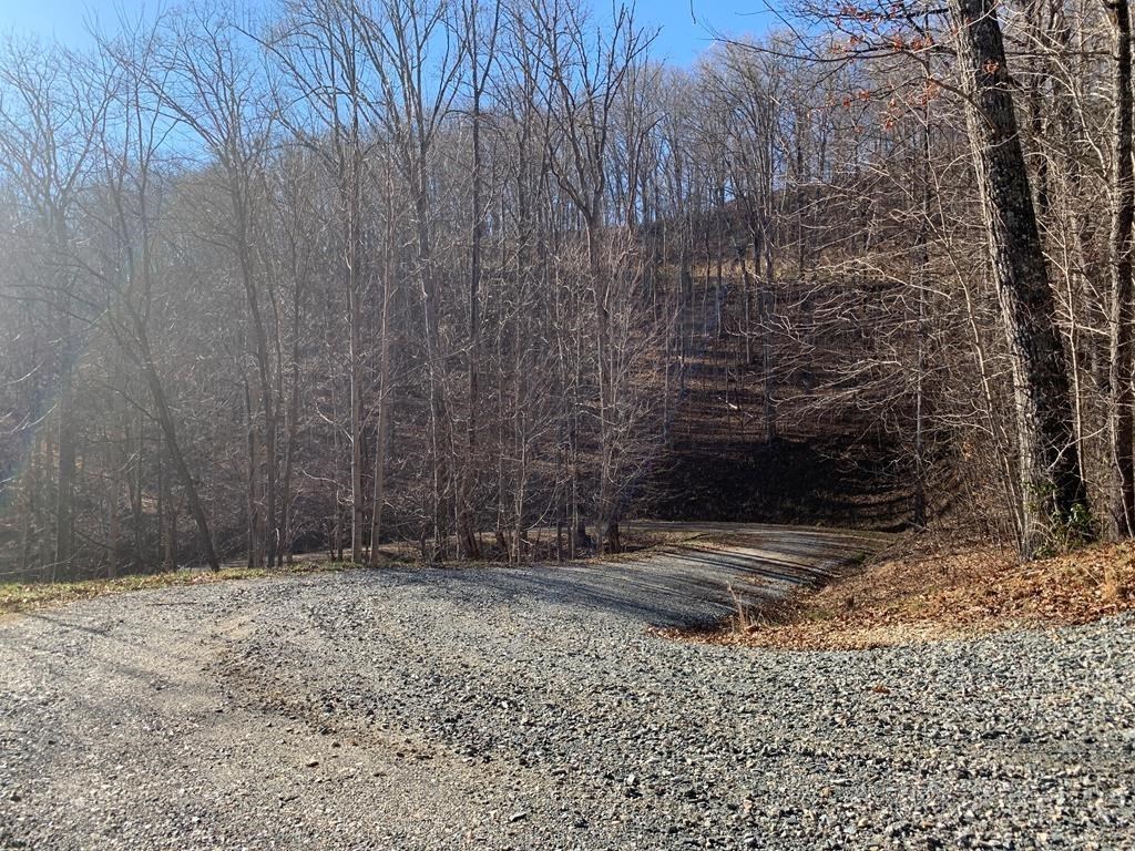 Bryson City, North Carolina 28713, United States, ,Land,Active,80627