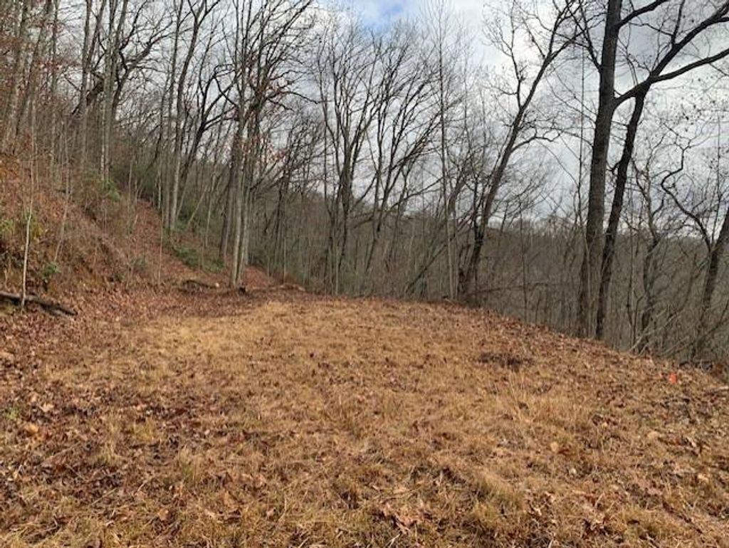 Photo of Lot 36 Hickory Cove, Bryson City, NC 28713 (MLS # 26040096)