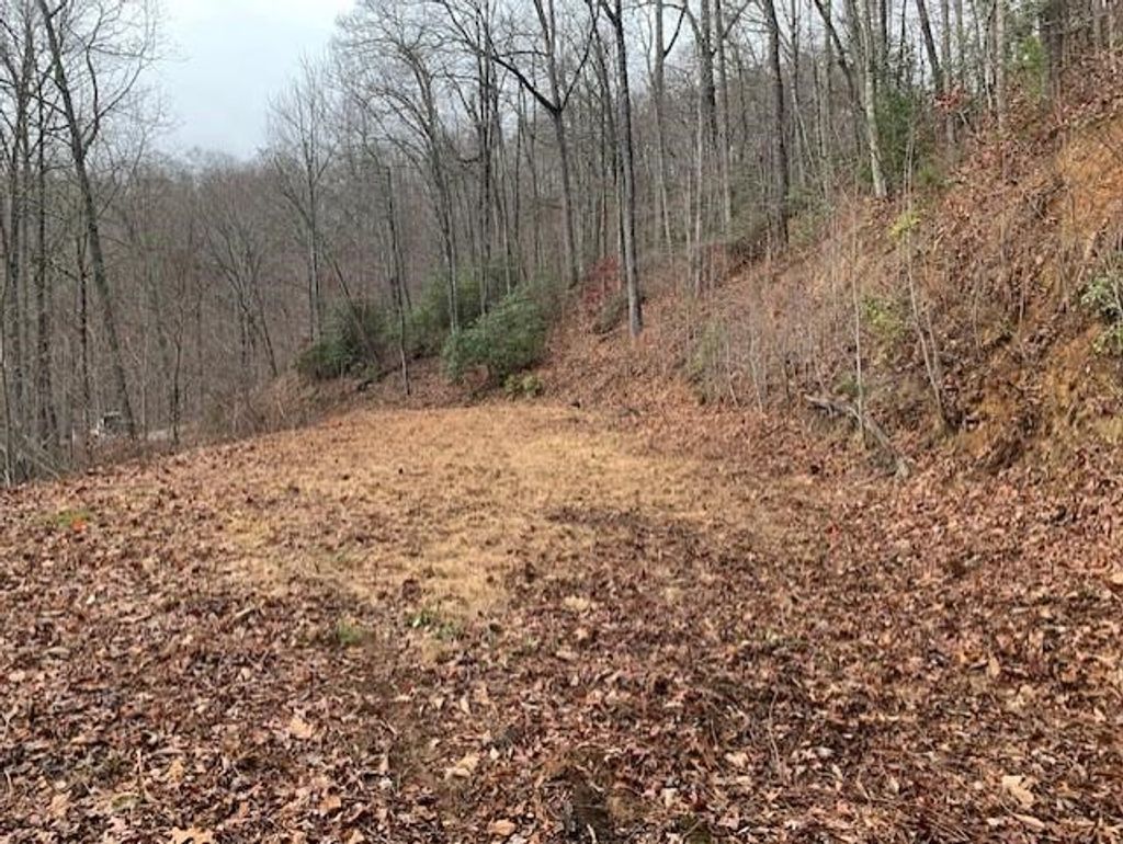 Photo of Lot 36 Hickory Cove, Bryson City, NC 28713 (MLS # 26040096)