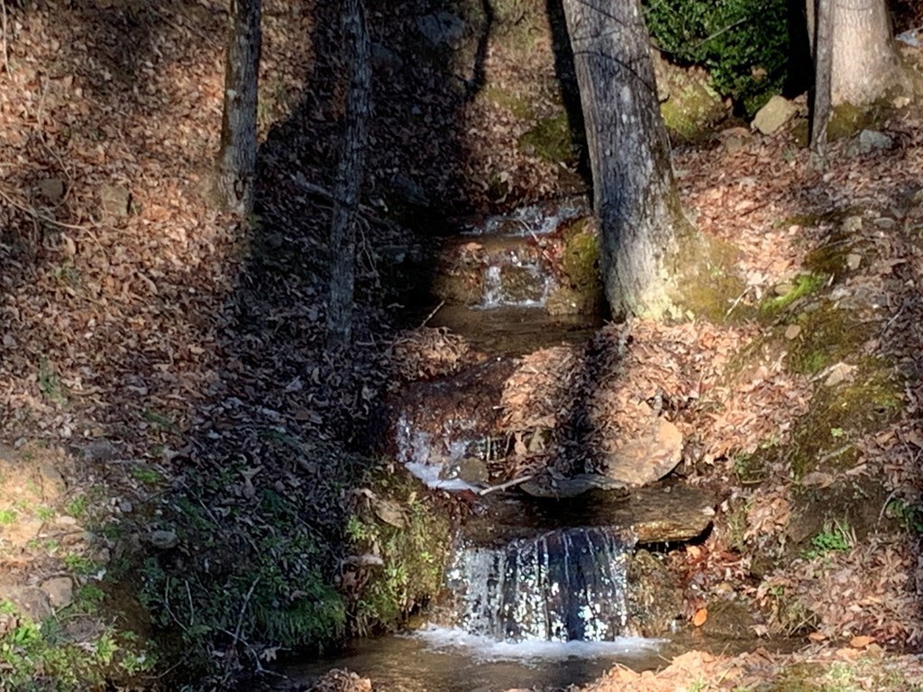 Bryson City, North Carolina 28713, United States, ,Land,Active,80627