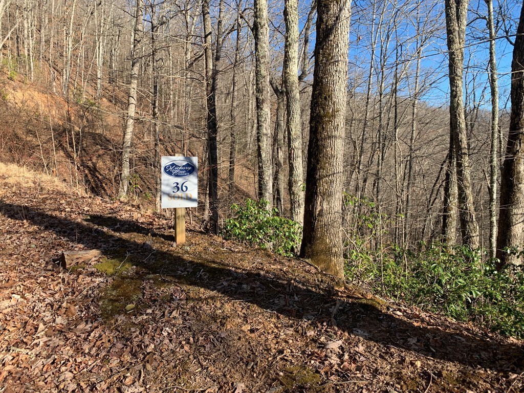 Bryson City, North Carolina 28713, United States, ,Land,Active,80627