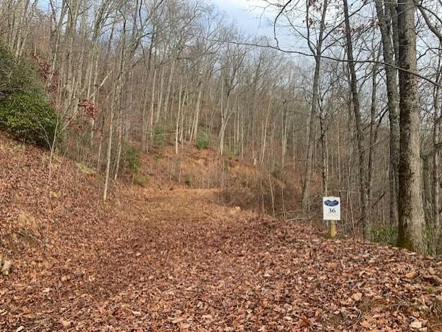 Bryson City, North Carolina 28713, United States, ,Land,Active,80627