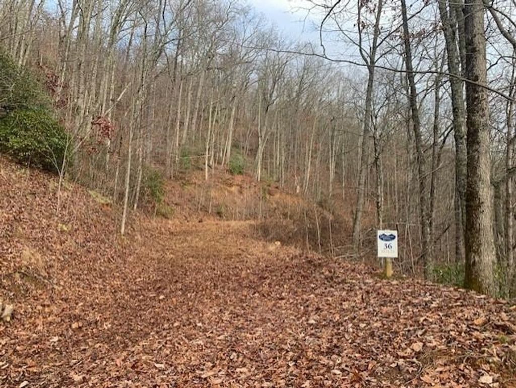 Photo of Lot 36 Hickory Cove, Bryson City, NC 28713 (MLS # 26040096)