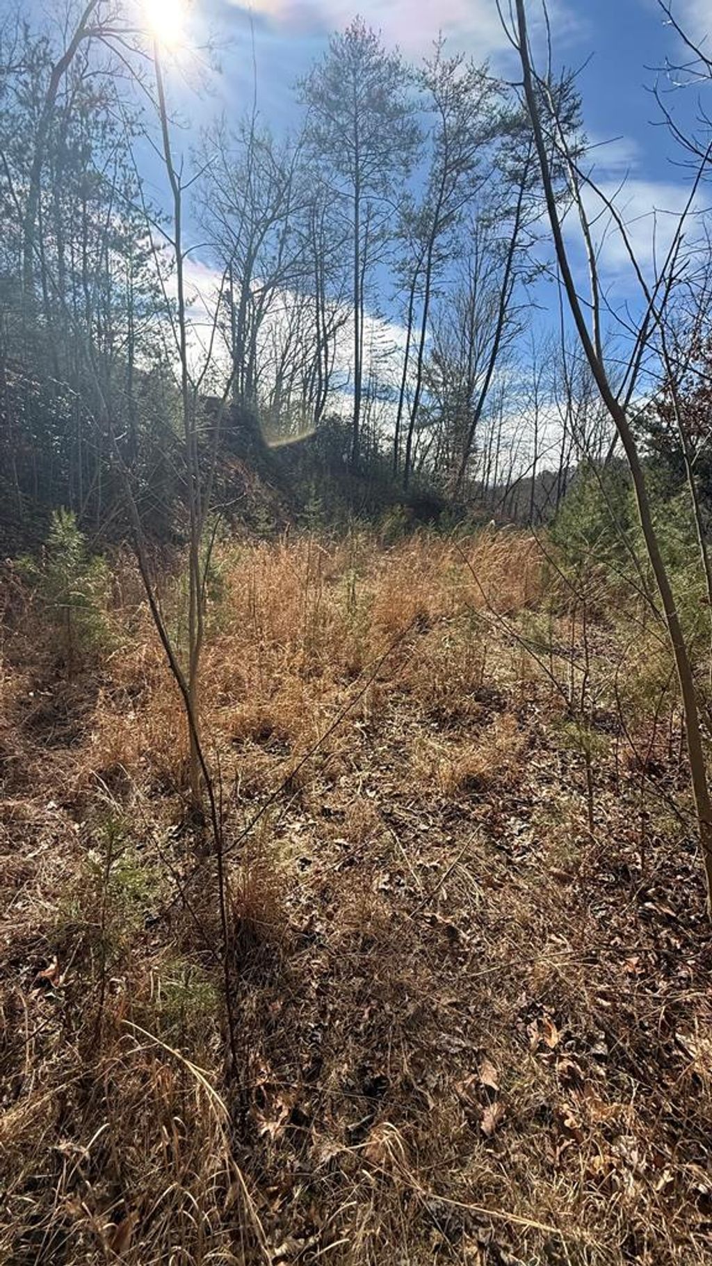 Photo of 0 Back Of Beyond, Bryson City, NC 28713 (MLS # 26045322)