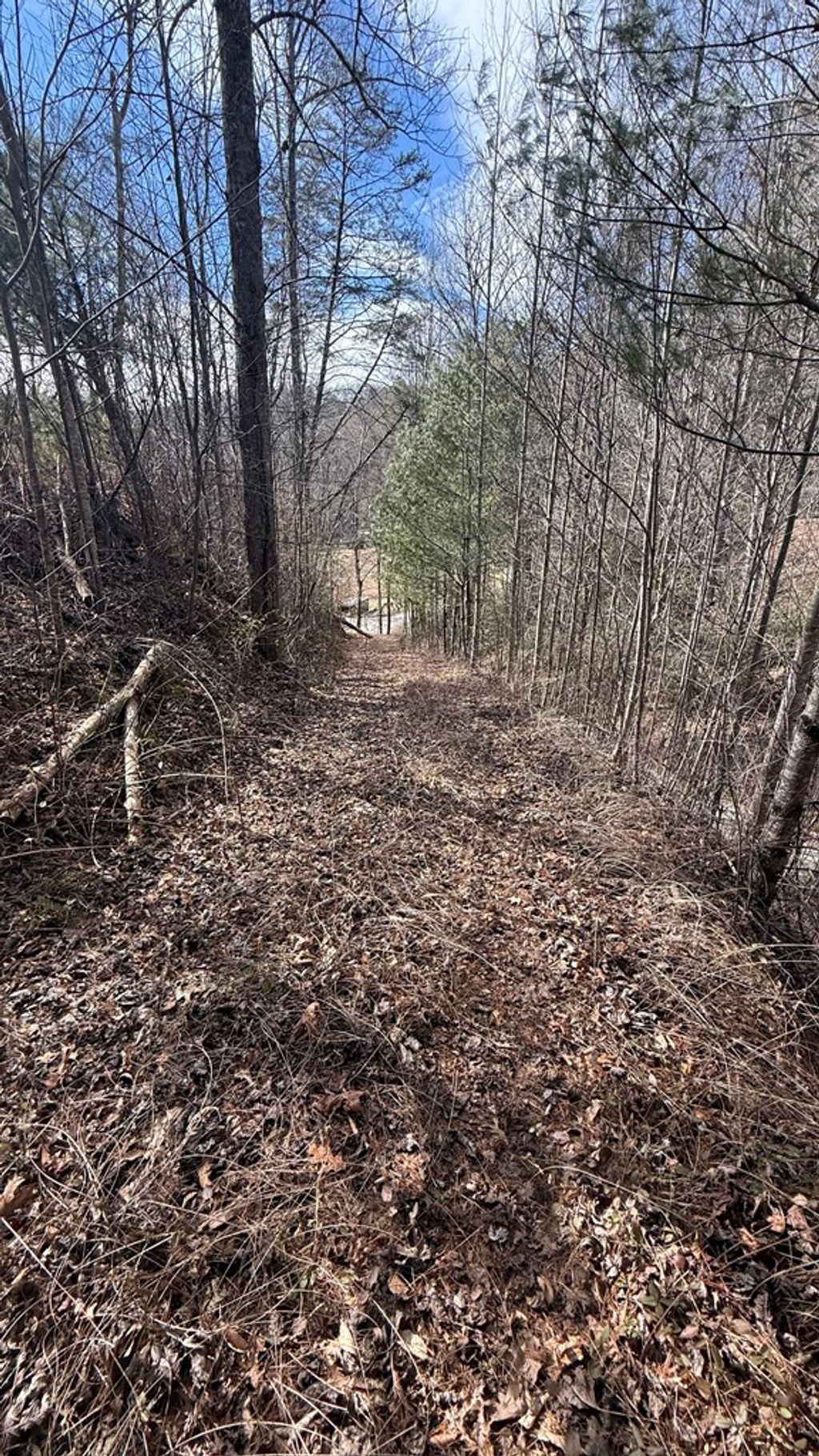 Photo of 0 Back Of Beyond, Bryson City, NC 28713 (MLS # 26045322)