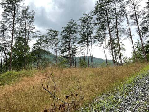 Photo of 0 675 Big Creek Road, Otto, NC 28763 (MLS # 26047966)