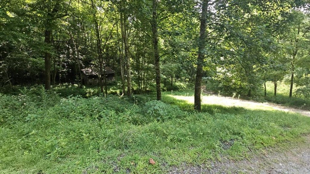 Photo of 91/95 Spring Rd, Bryson City, NC 28713 (MLS # 26037662)