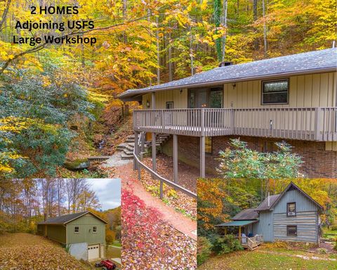 380/366 Newman Rd Franklin NC 28734