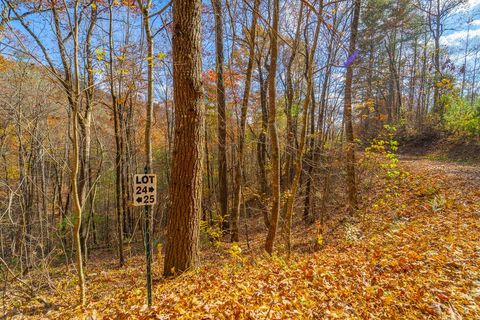 Photo of Lot 24 Rivers Edge, Franklin, NC 28713 (MLS # 26042793)